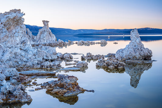 Mono Lake V