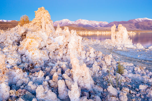 Mono Lake II