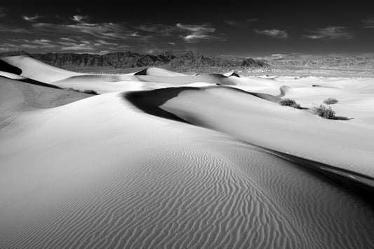 Mesquite Dunes