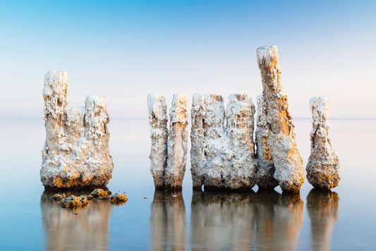 Salton Sea