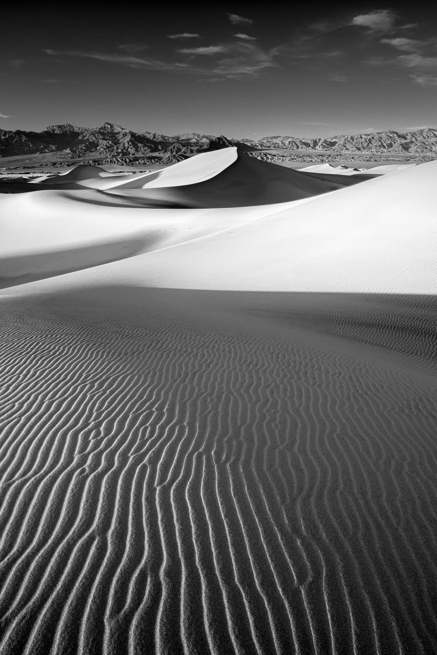 Mesquite Dunes II