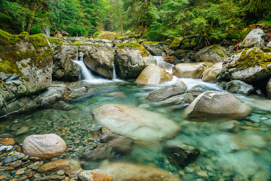 Stawamus